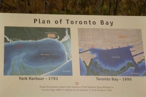 cPlanofTorontoBayweb