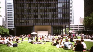 bTOTDlunchongrassweb
