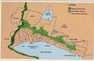 b8.TObioregion1web