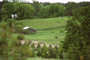 c2.ORMHorseFarmweb